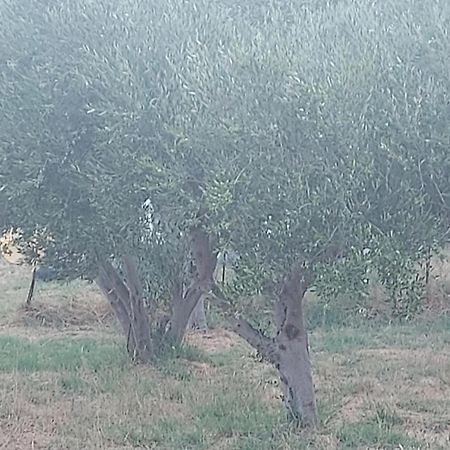 Vila Principessa Telendos Kálymnos Exteriér fotografie
